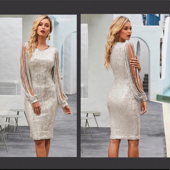 sequin tassel sleeve dress